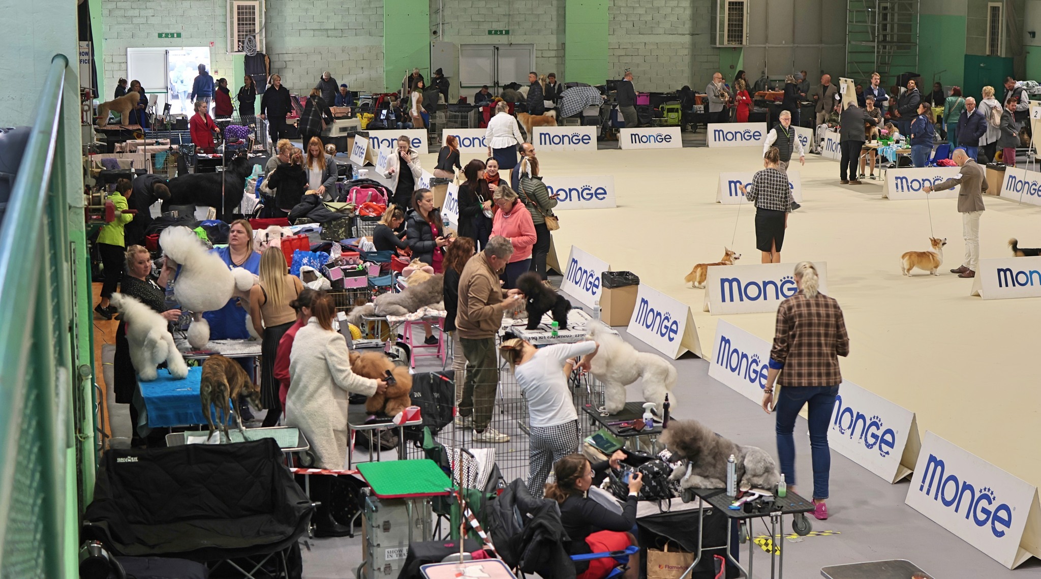 Ozvočenje alpe adria dog show za polno dvorano
