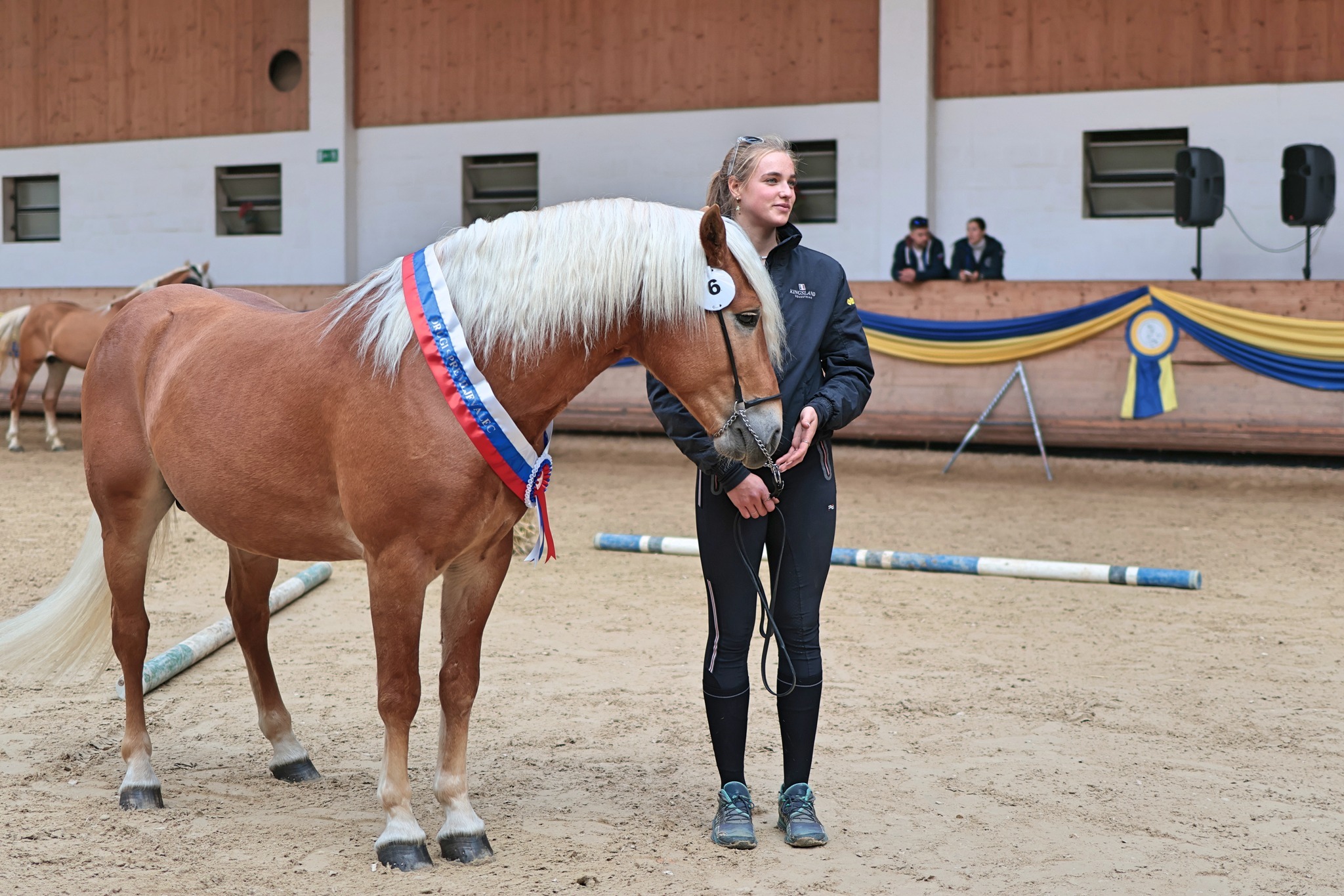 ozvočenje halfinger prireditve