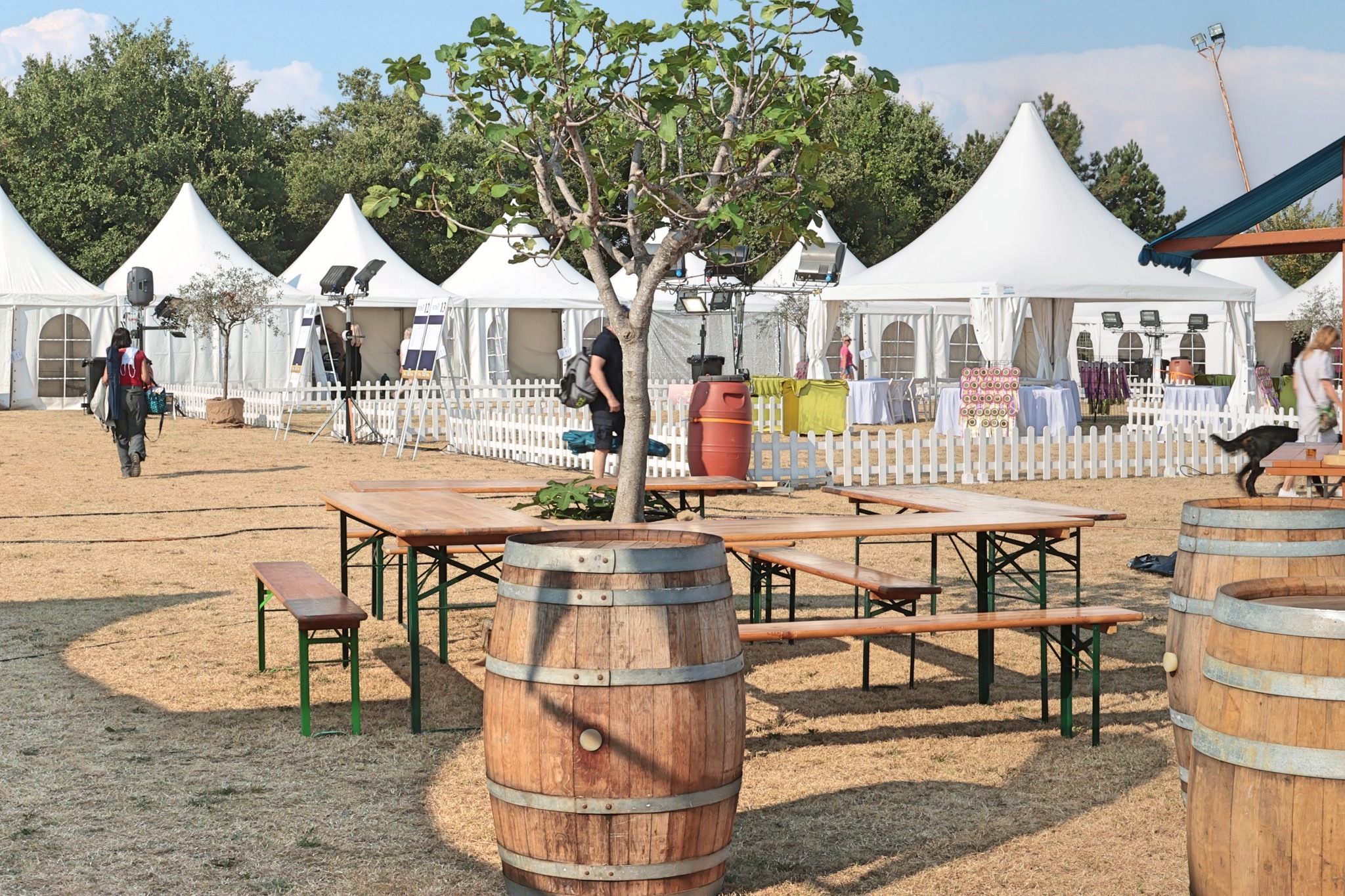 ozvočenje istra dog show dogodka