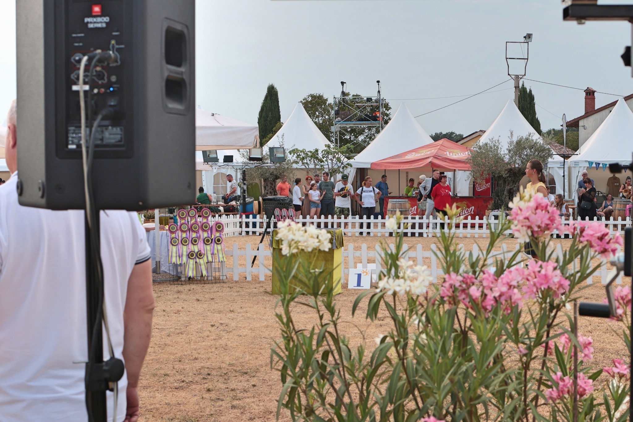 ozvočenje istra dog show dogodka