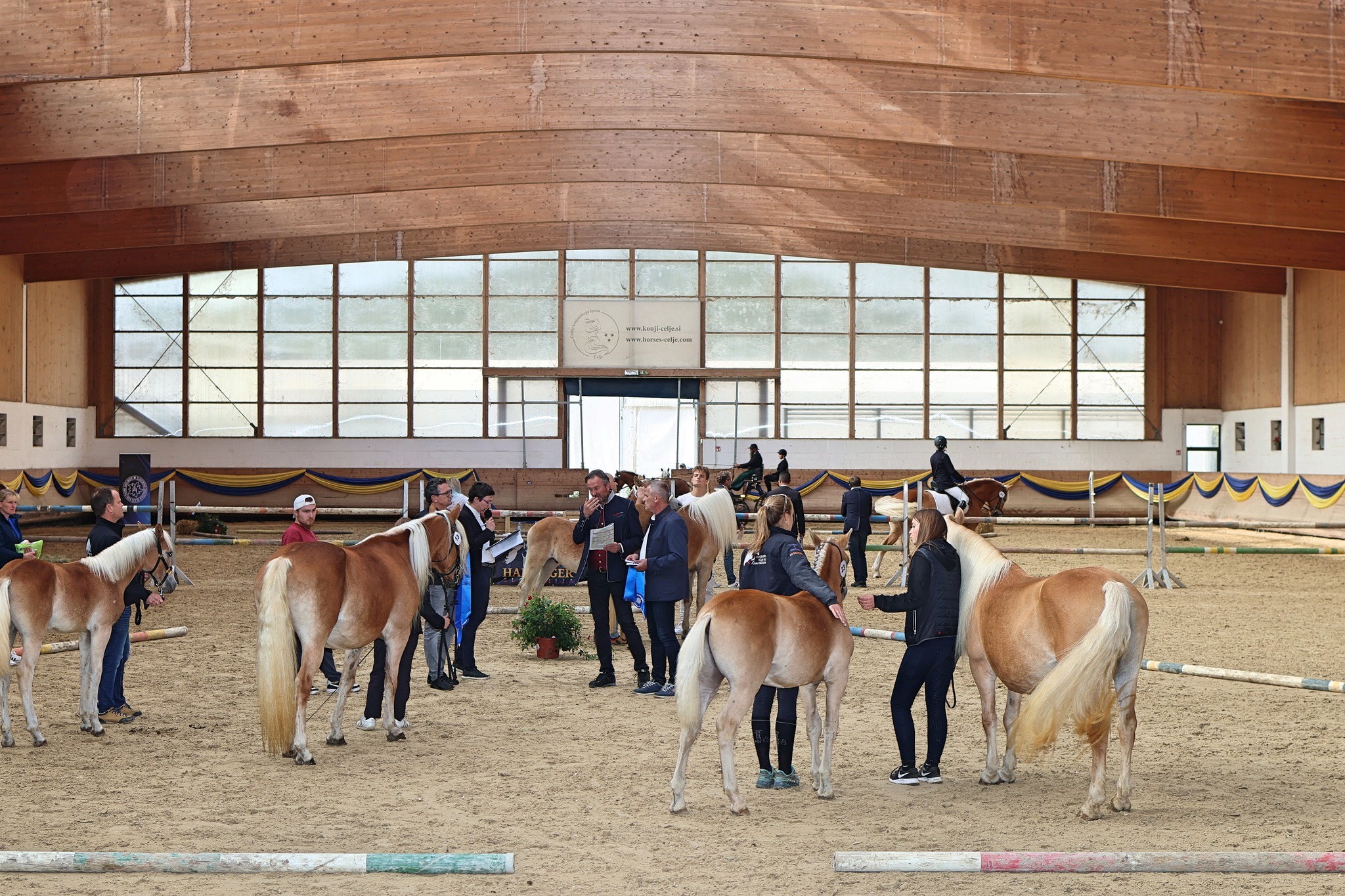 ozvočenje halfinger zrebicki prireditve