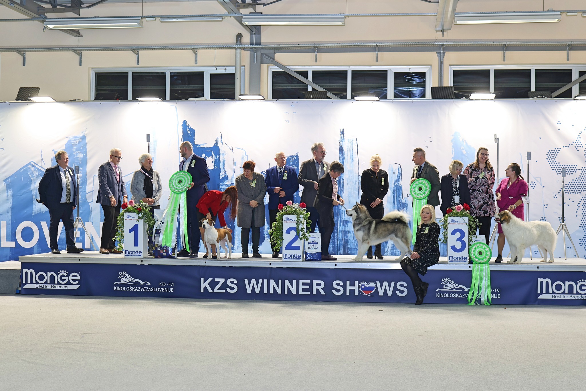 ozvocenje celjski sejem pasja razstava