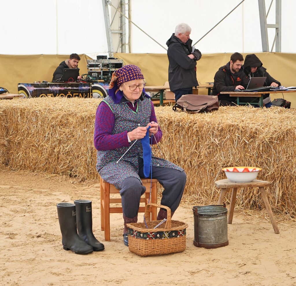 Razstava govedi rjave pasme