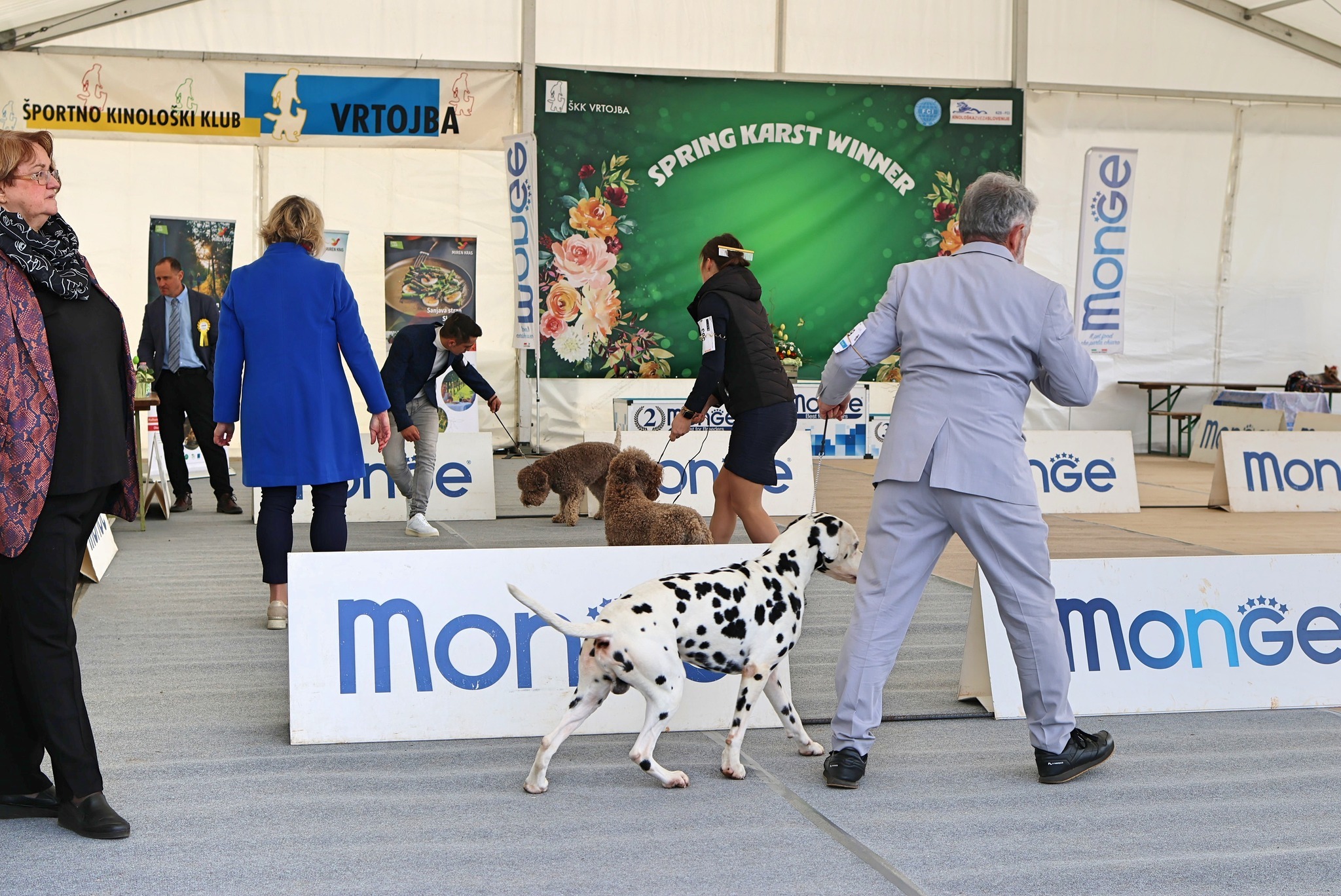Ozvočenje Spring KARST Winner dog SHOW, 2025 2