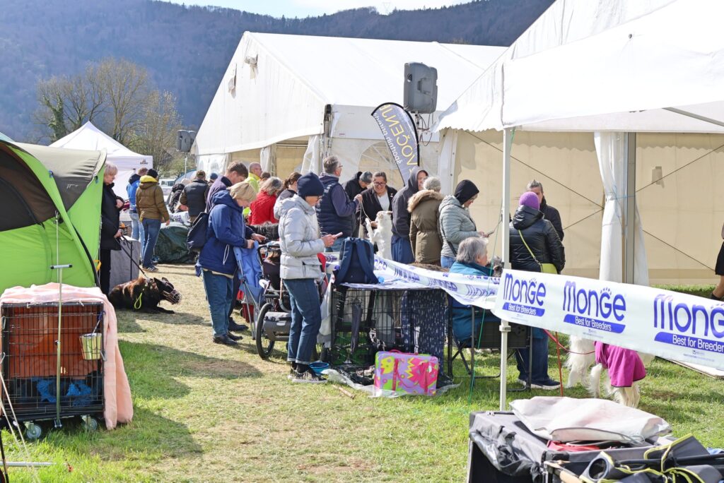 CACIB BARJE, v org. KD KRIM, 20252