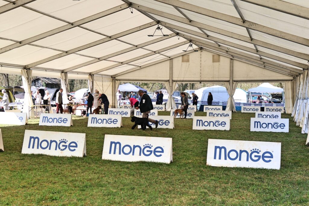 CACIB BARJE, v org. KD KRIM, 20254