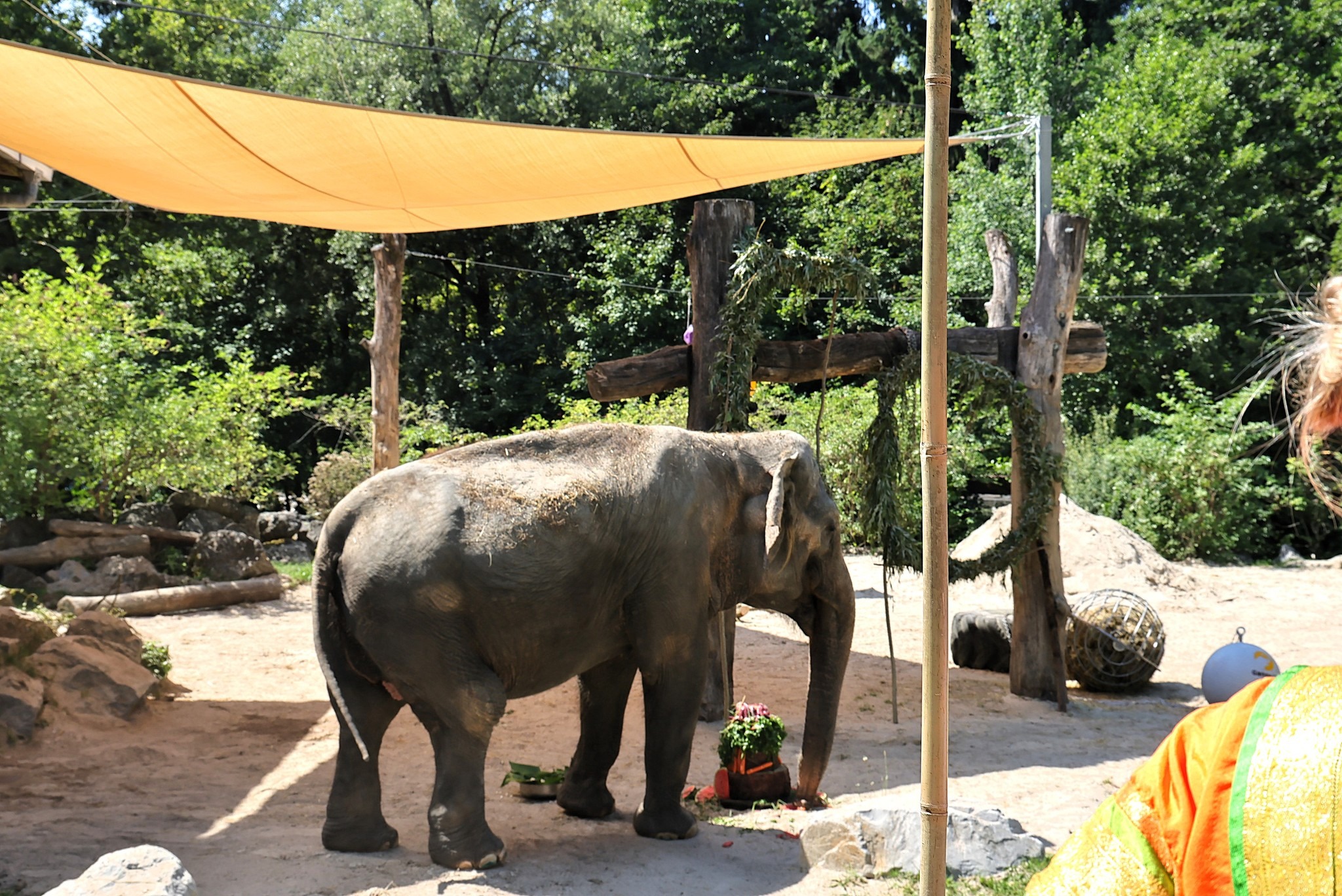Ozvočenje prireditve ZOO Ljubljana