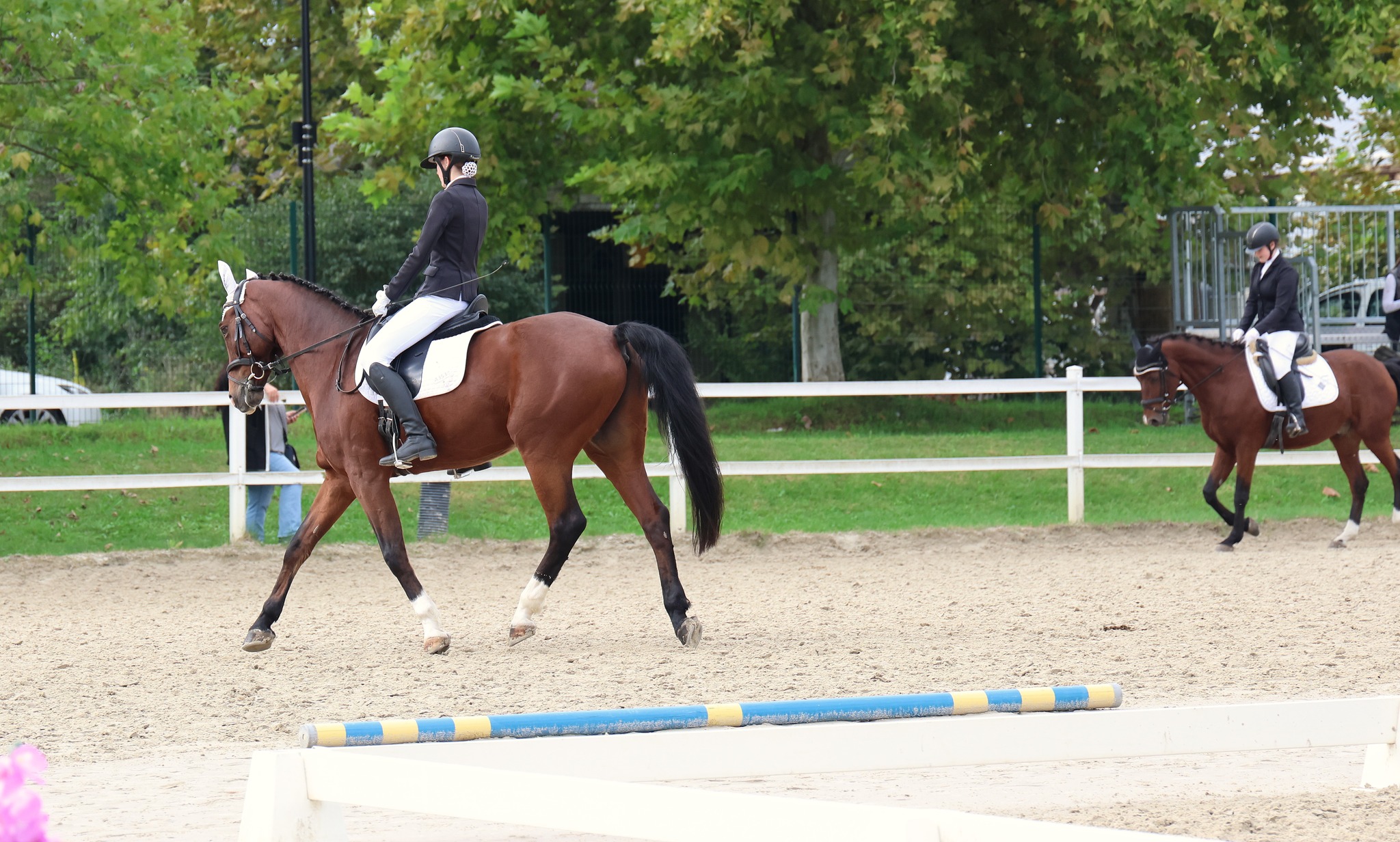 ozvočenje in razsvetljava dresure jahanja2