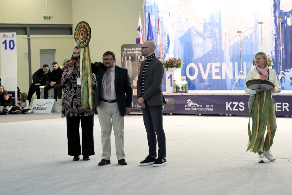 ozvočenje in razsvetljava pasje razstave