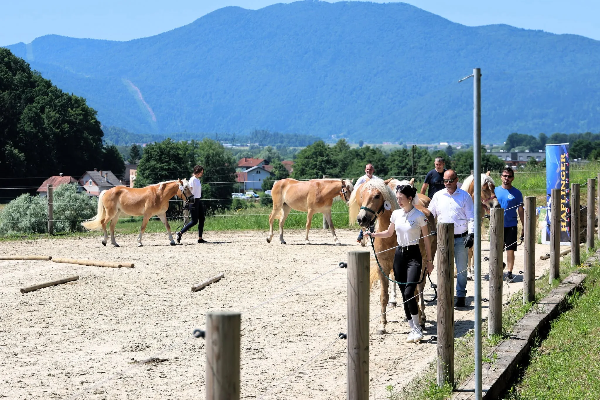 ozvočenje in razsvetljava prireditve HAFLINGER SLOVENIJA, Sprejem žrebet v rodovnik 2026 na Škofljici1