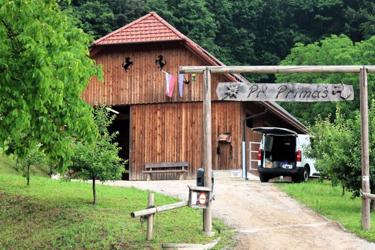 ozvočenje in razsvetljava prireditve HAFLINGER SLOVENIJA, Sprejem žrebet v rodovnik 2026 na Škofljici4