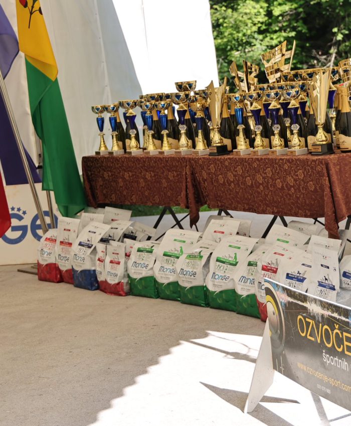 Ozvočenje prireditve polhovgradec