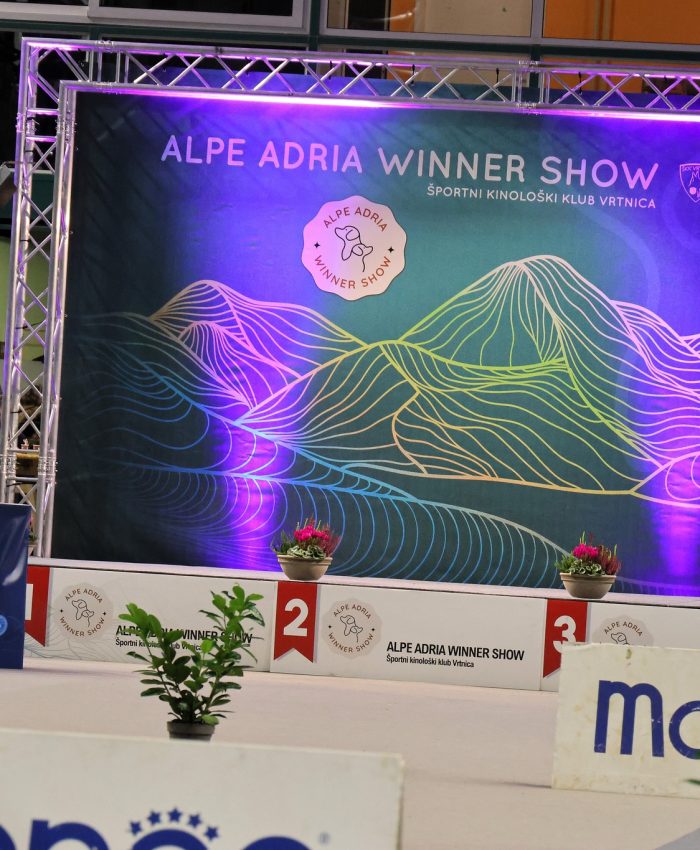 Ozvočenje prireditve razstave2