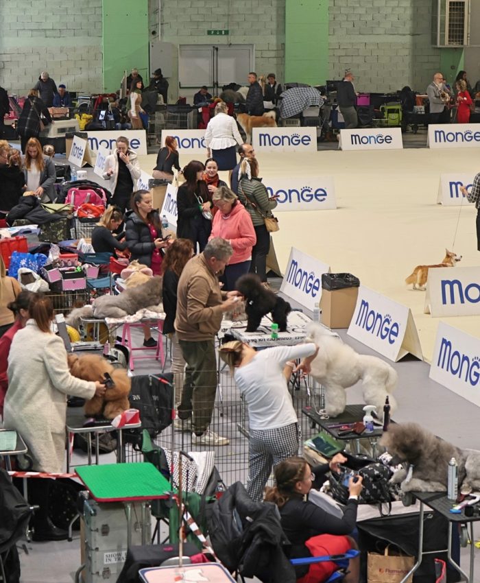 Ozvočenje alpe adria dog show za polno dvorano