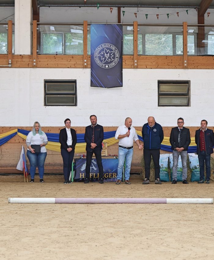 ozvočenje halfinger tekmovanje