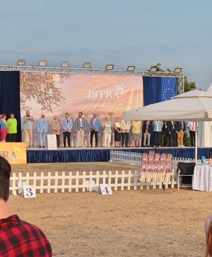 ozvočenje istra dog show dogodka