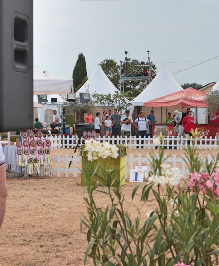 ozvočenje istra dog show dogodka